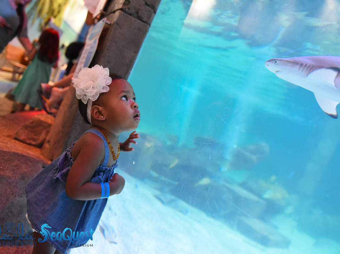 NorCal Aquarium & Wildlife-佛森必去景点