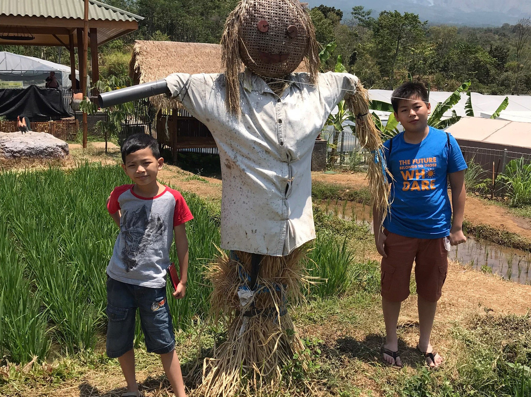 Kebun Pak Budi-巴苏鲁安必去景点