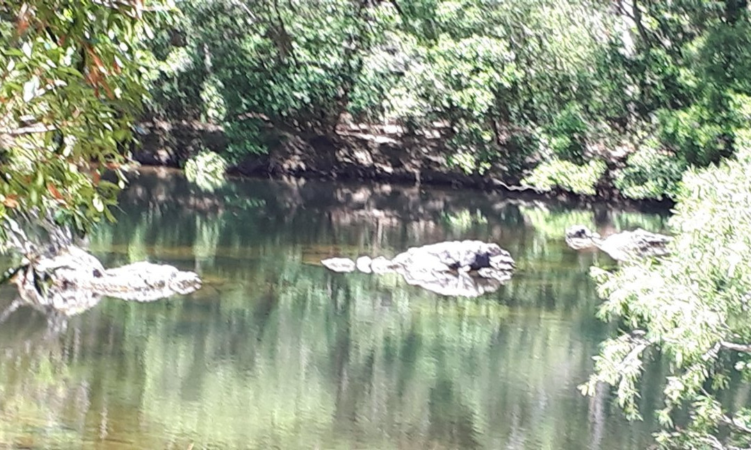 Outback Spirit-凯恩斯必去景点