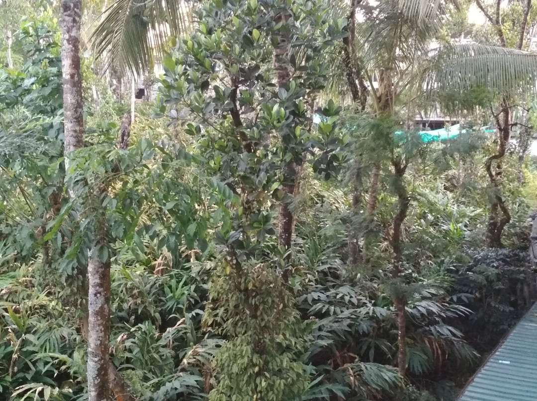 Spice Grove Hotels & Resorts主图