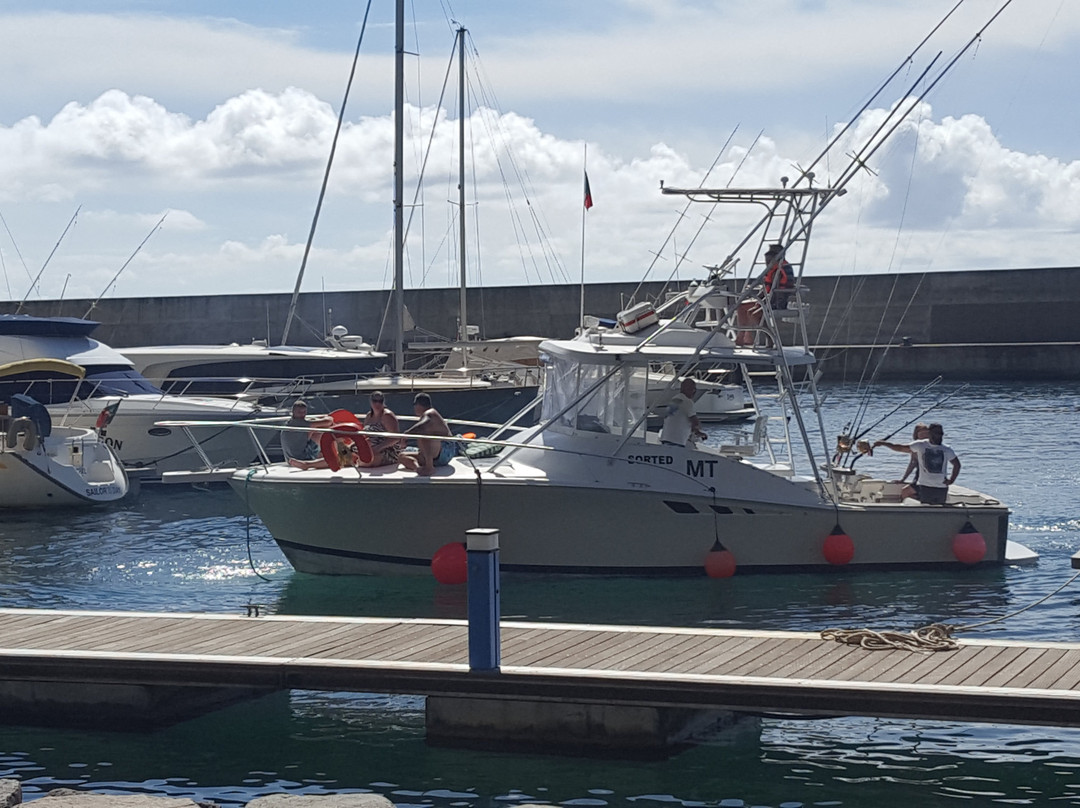 Madeira Marlin Charters-卡列塔必去景点