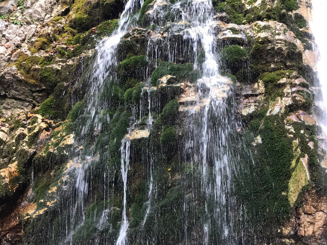 Cascada Urlatoarea景点图片