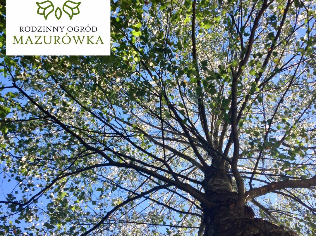 Family Garden Mazurowka-Uscie Gorlickie必去景点