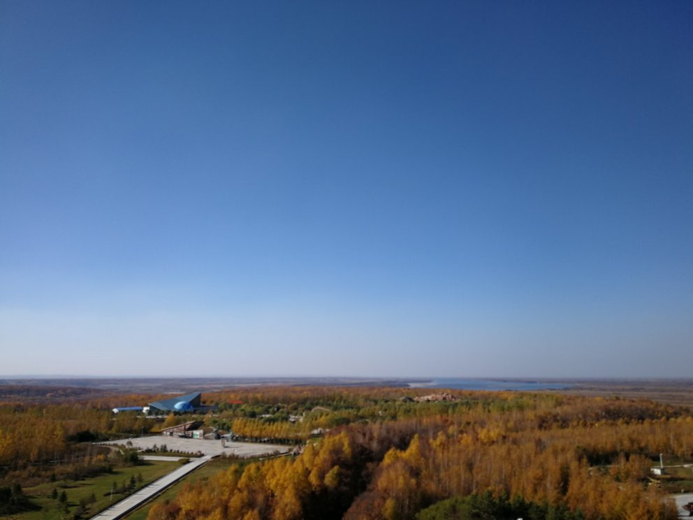 嘉荫恐龙国家地质公园-伊春市必去景点