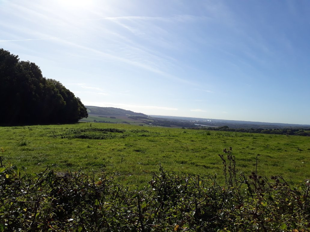 Ranscombe Farm Reserve景点图片
