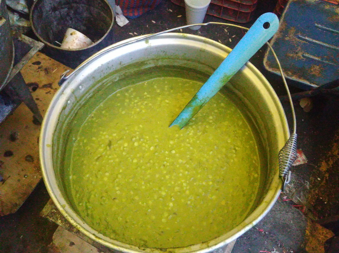 Travelling Herbivore-墨西哥城必去景点