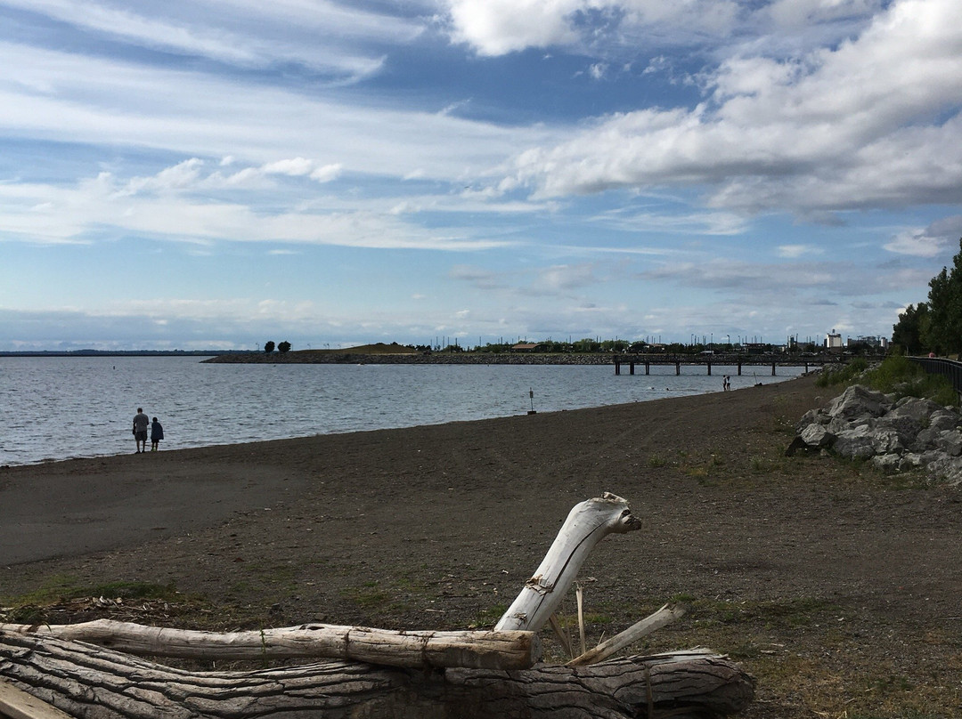 Buffalo Harbor State Park景点图片