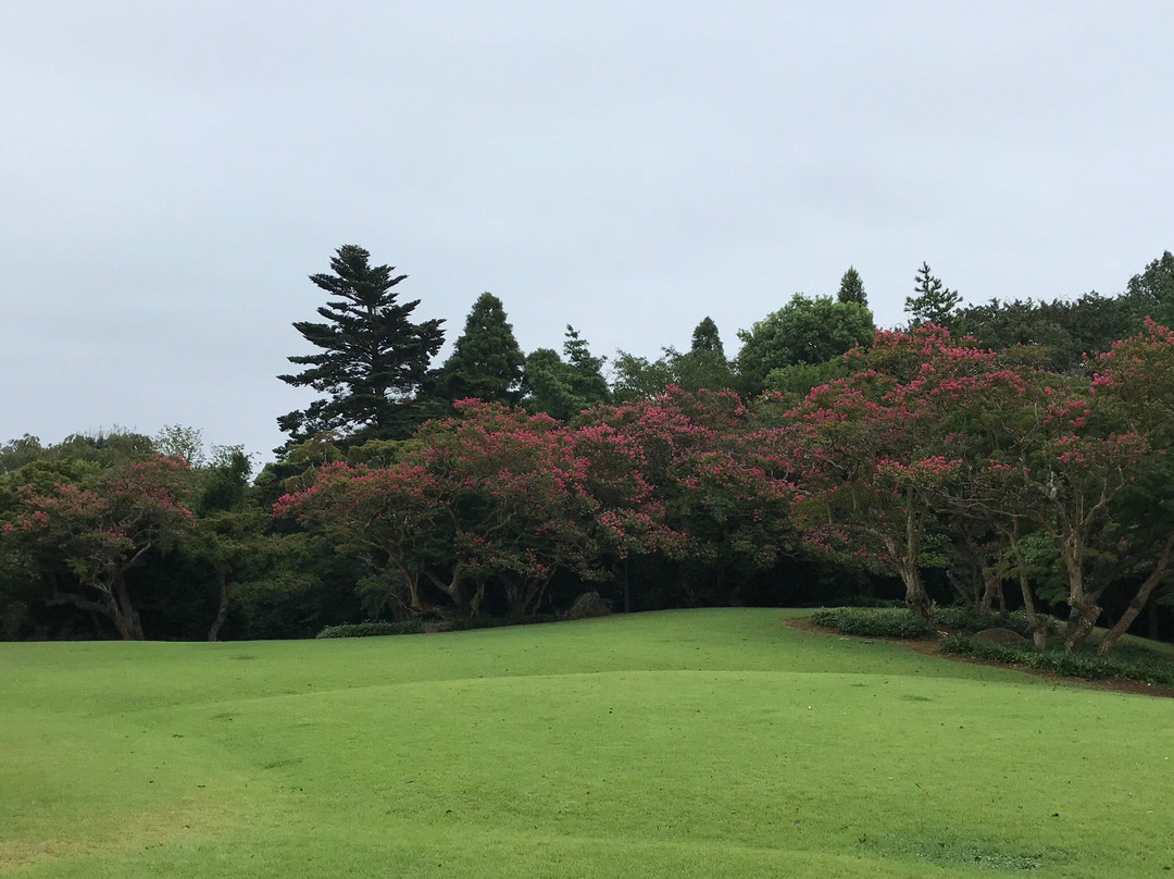 Sakura Garden景点图片