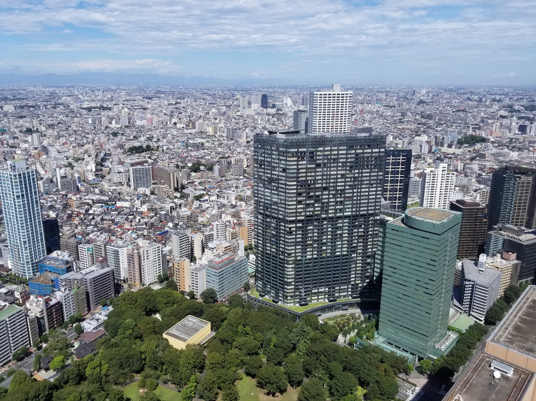 东京都旅游景点-Tokyo Metropolitan Government Building Observation Decks