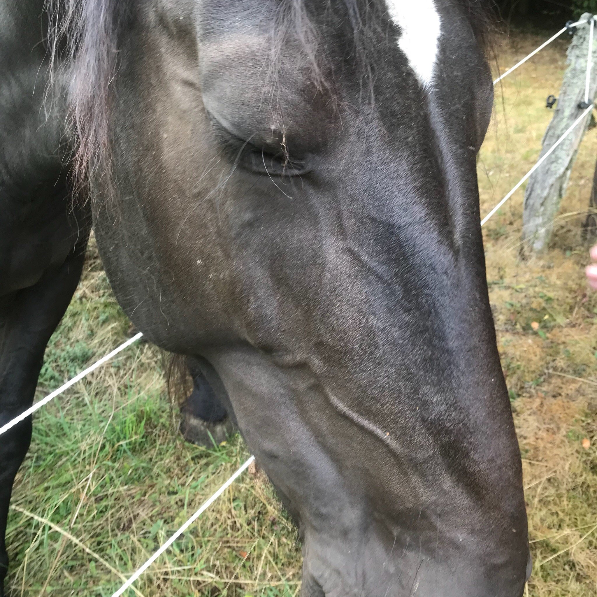 Hotel Walsbachtal-官方