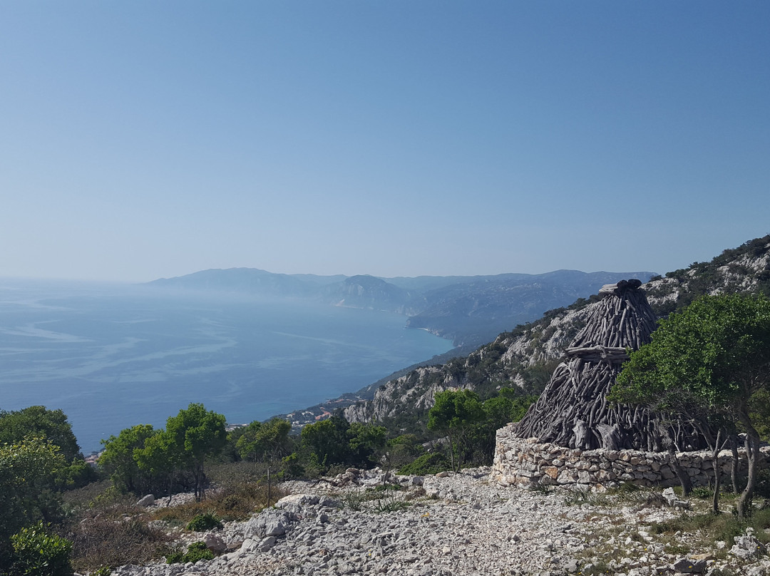 Monte ruju