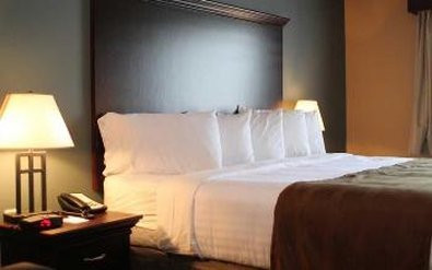 The Watford Hotel主图