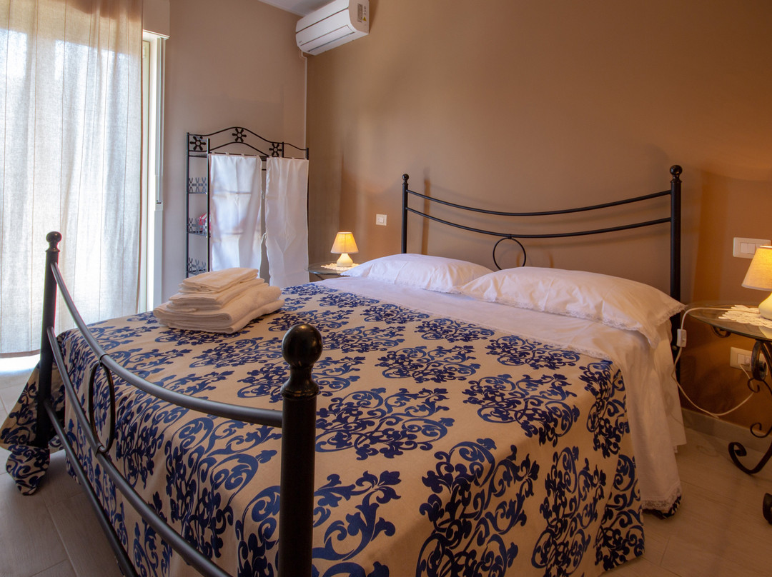 B&B La Camelia - CIN IT083105C1XSLDNXXL主图