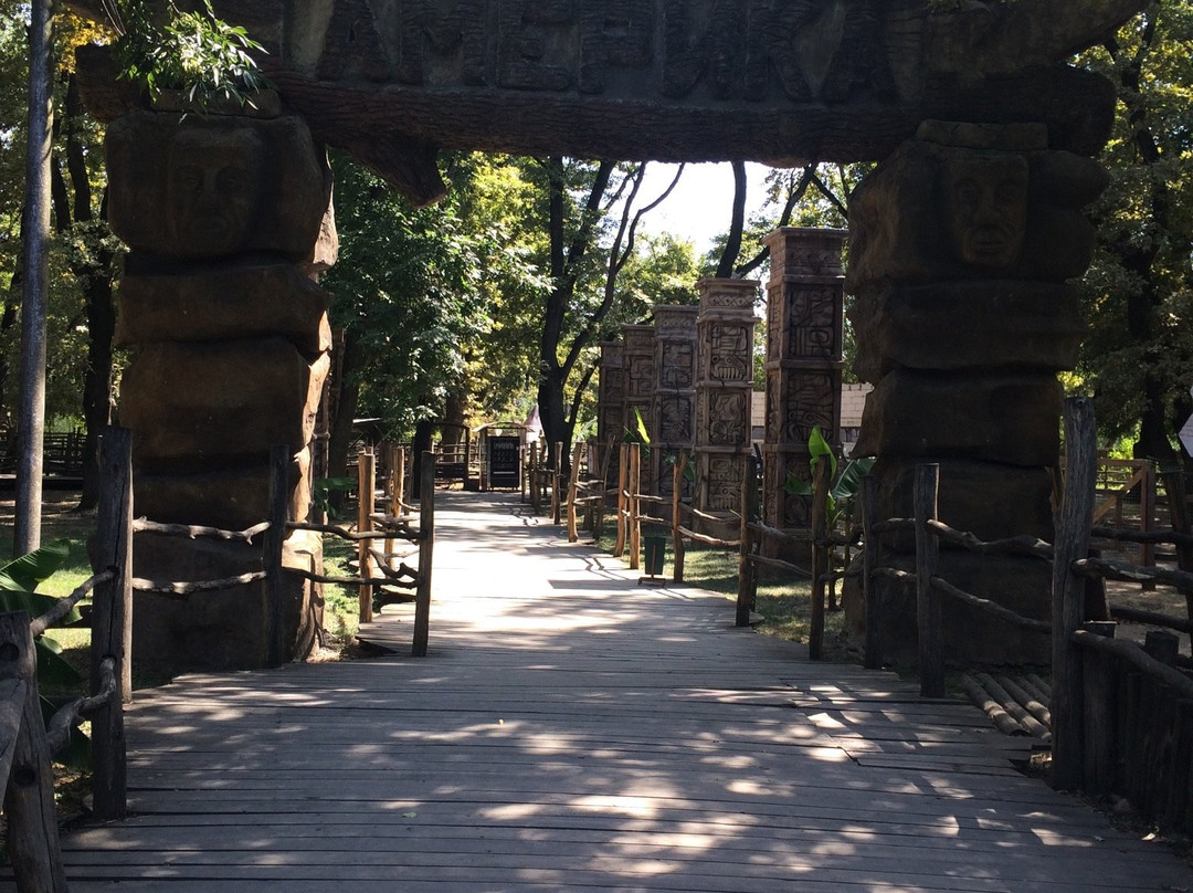 Safari Park景点图片