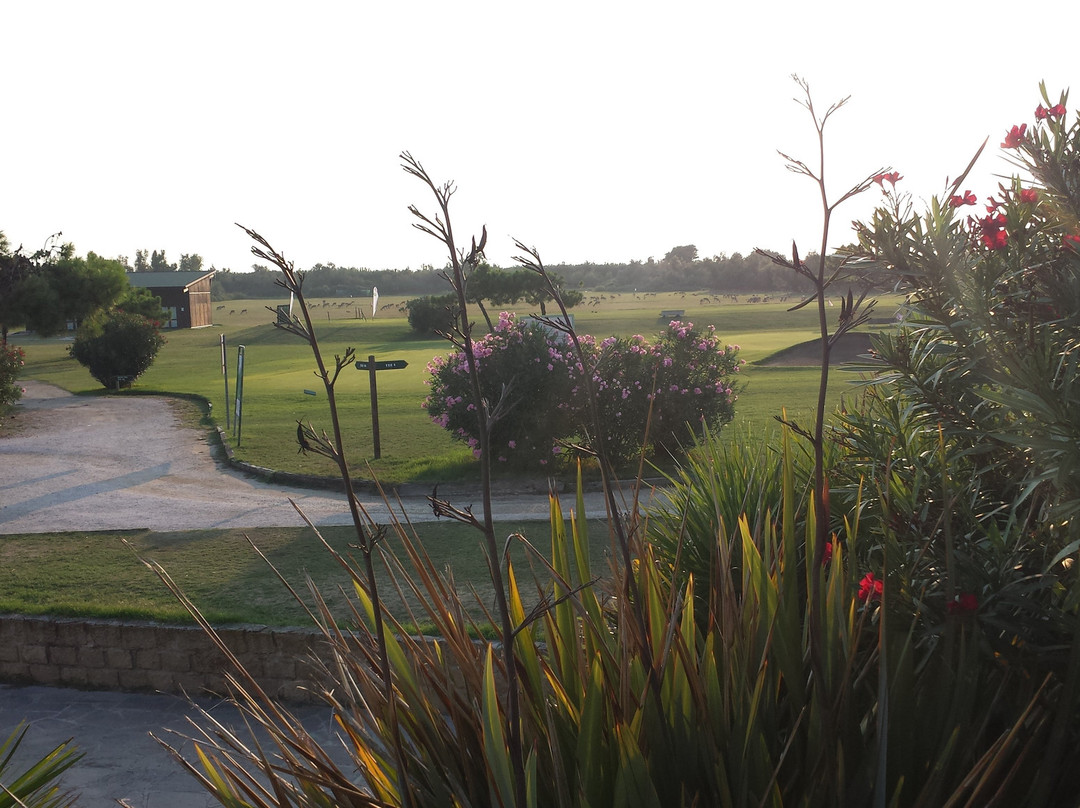 Albarella Golf Links-Isola Albarella必去景点