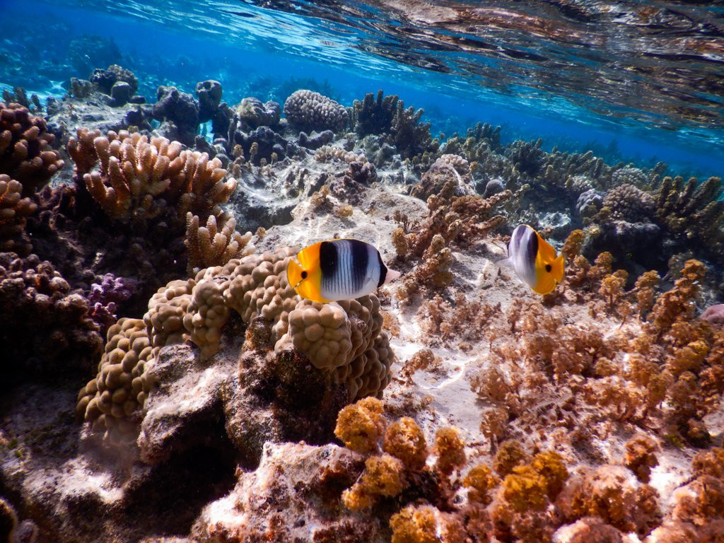 Pension Ludo et Moyra主图