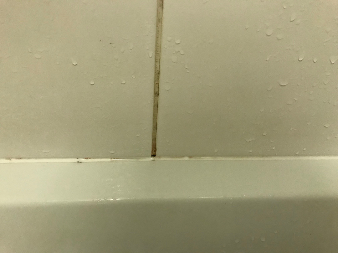 The Hampton Hotel主图