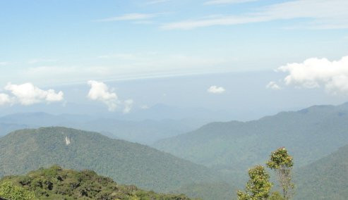 Gunung Brinchang景点图片