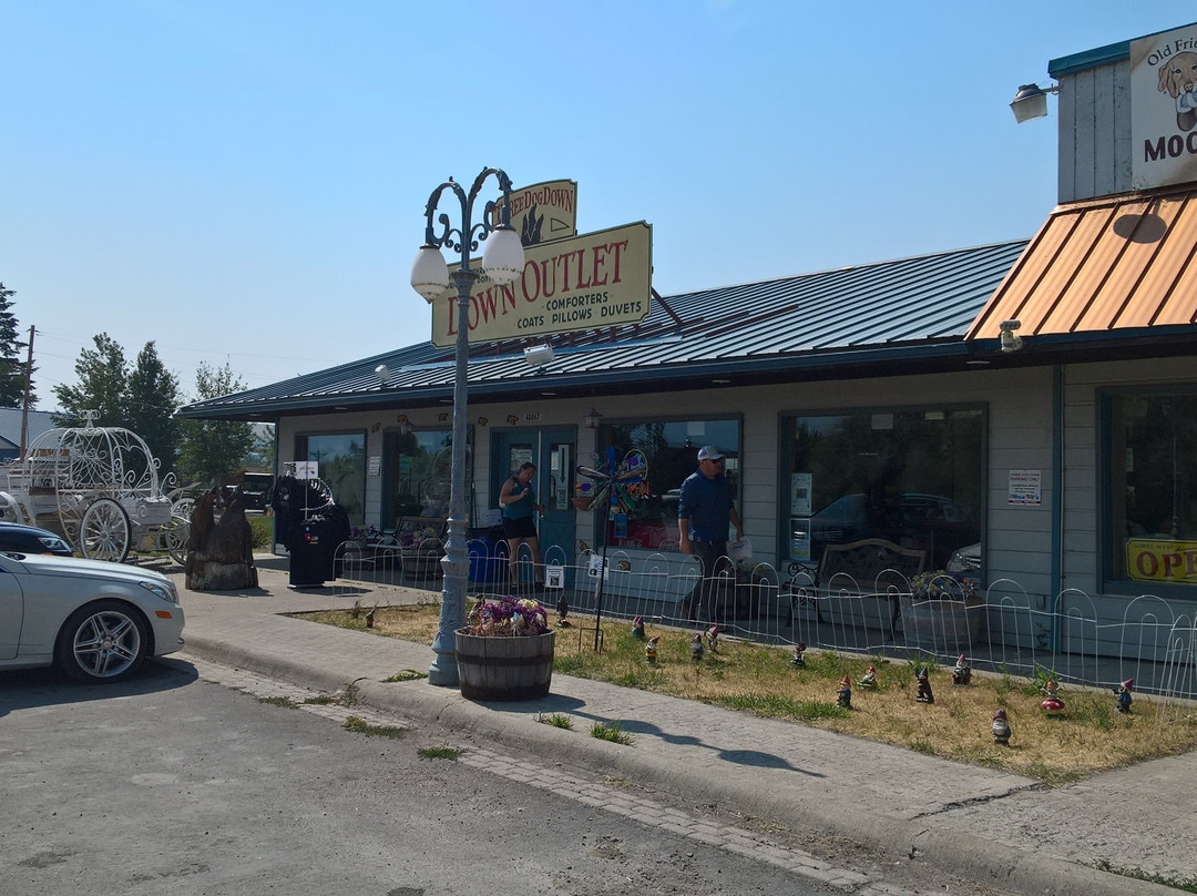 Three Dog Down-Polson必去景点