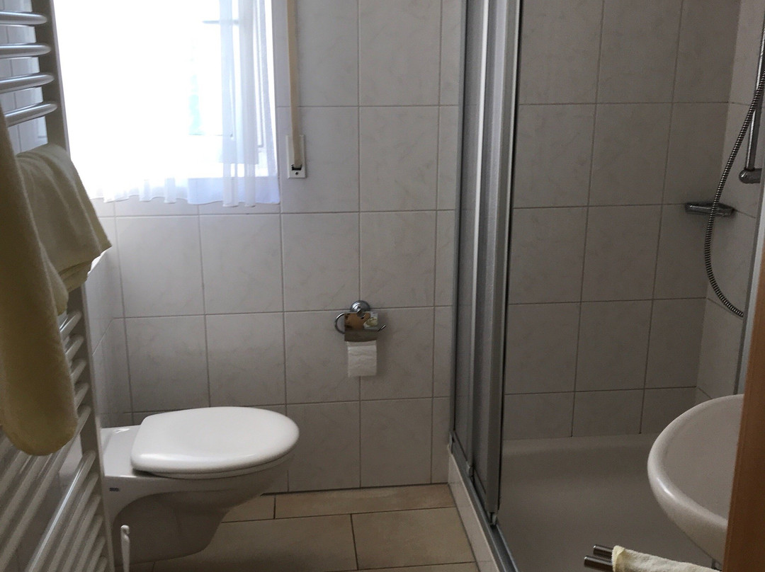 巴德明斯特赖费尔酒店住宿-Hotel Zur Waage