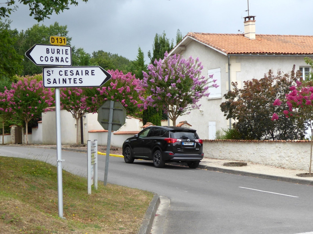 Hôtel du Grand Chêne主图