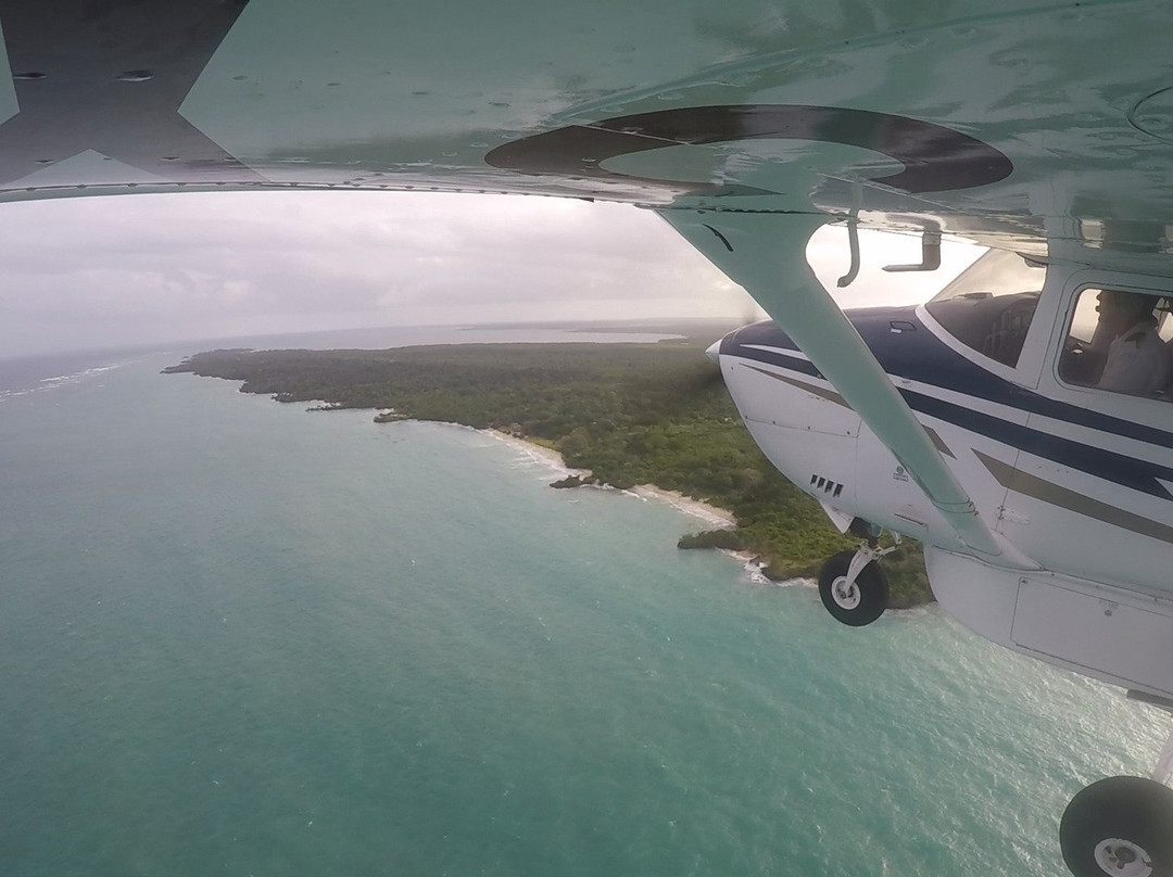 Wild Coast Air Safaris景点图片