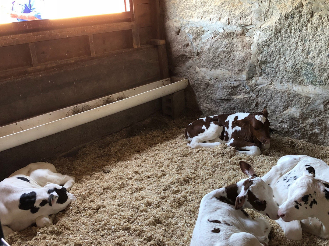 Hornstra Farms-Norwell必去景点