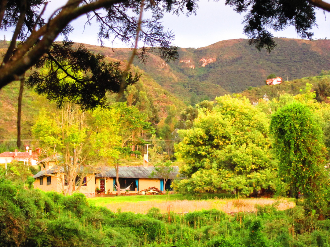 La Juanita Finca Verde主图