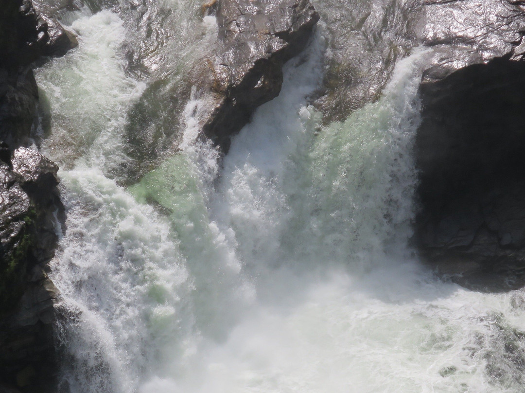 Wells Gray Provincial Park景点图片