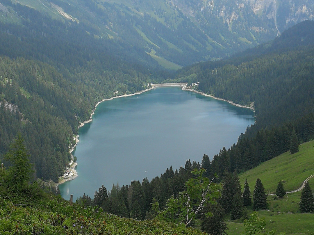 Col du Pillon-Lac Retaud-Lac Arnen-Feutersoey景点图片