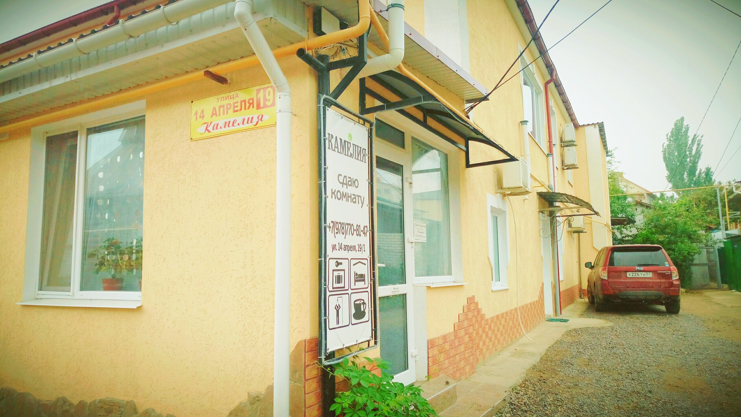 Kameliya-官方