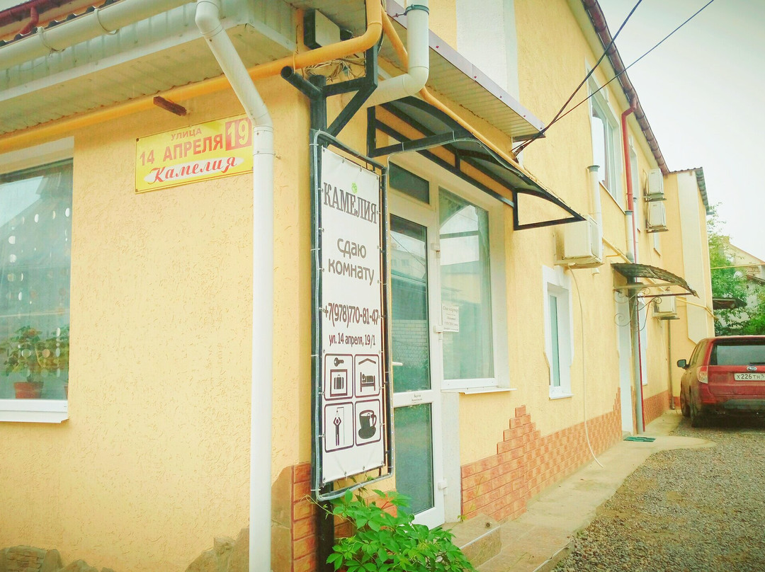 Uchebne酒店住宿-Kameliya