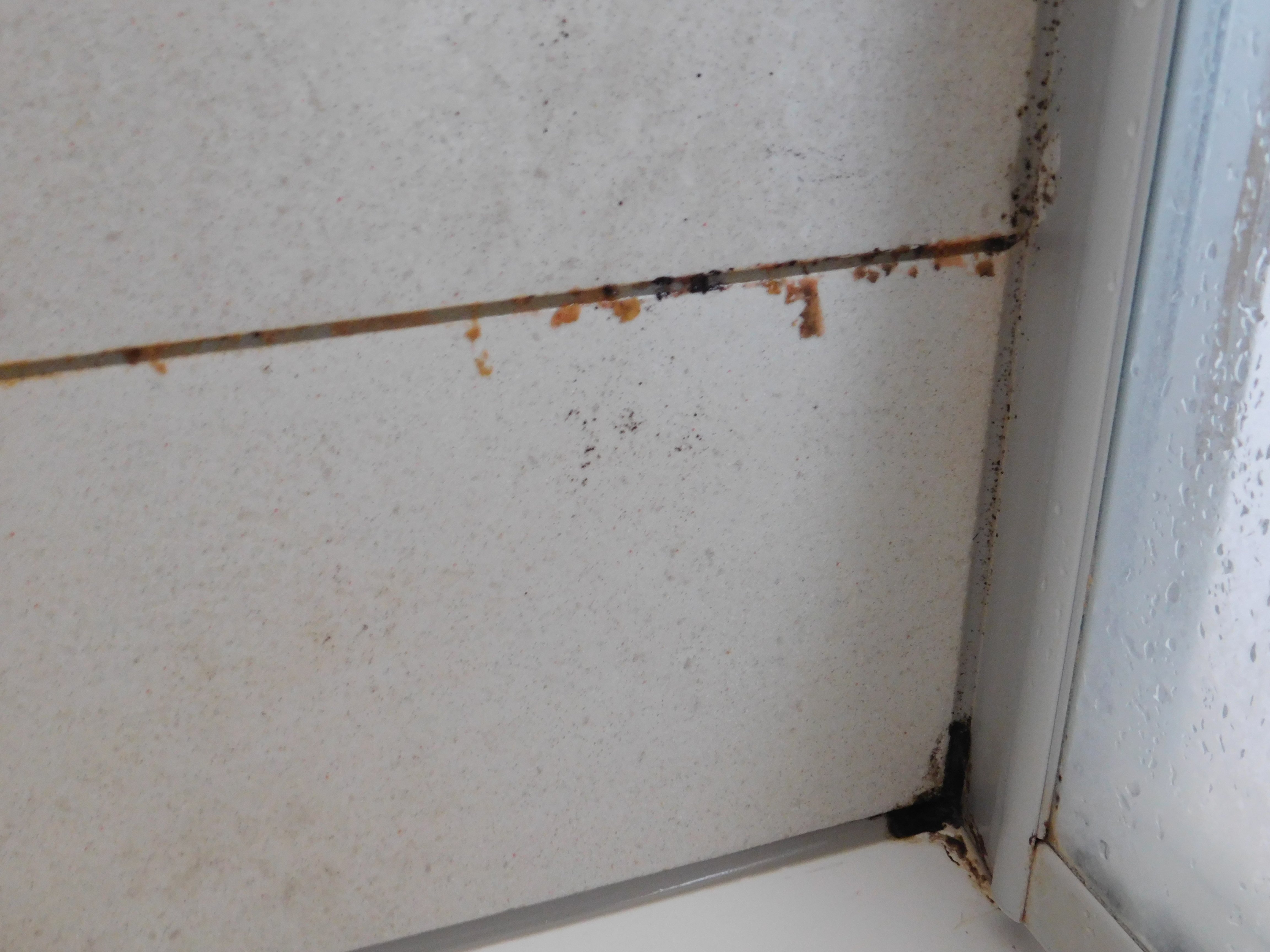 阿德勒公寓式酒店-浴室