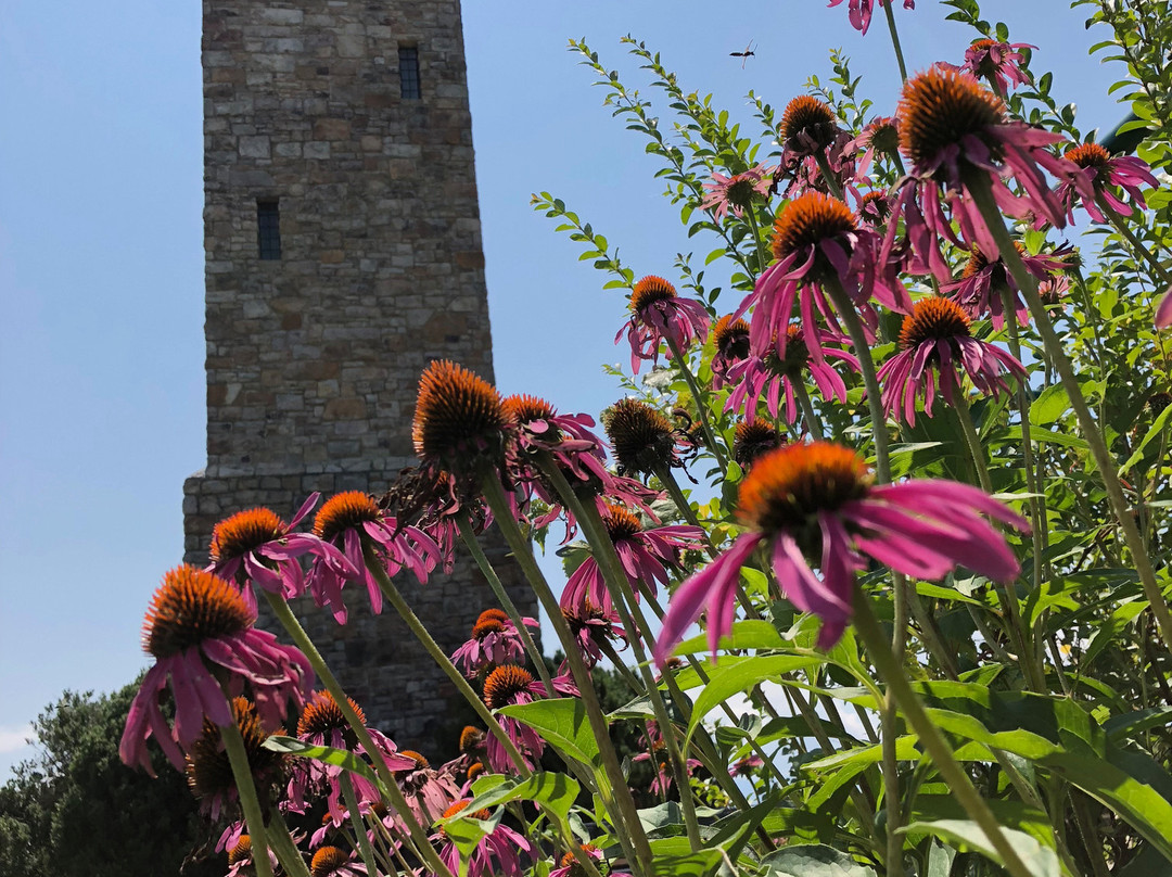 Luray Singing Tower-卢雷必去景点