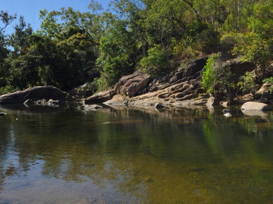 Alligator Falls Track-Alligator Creek必去景点