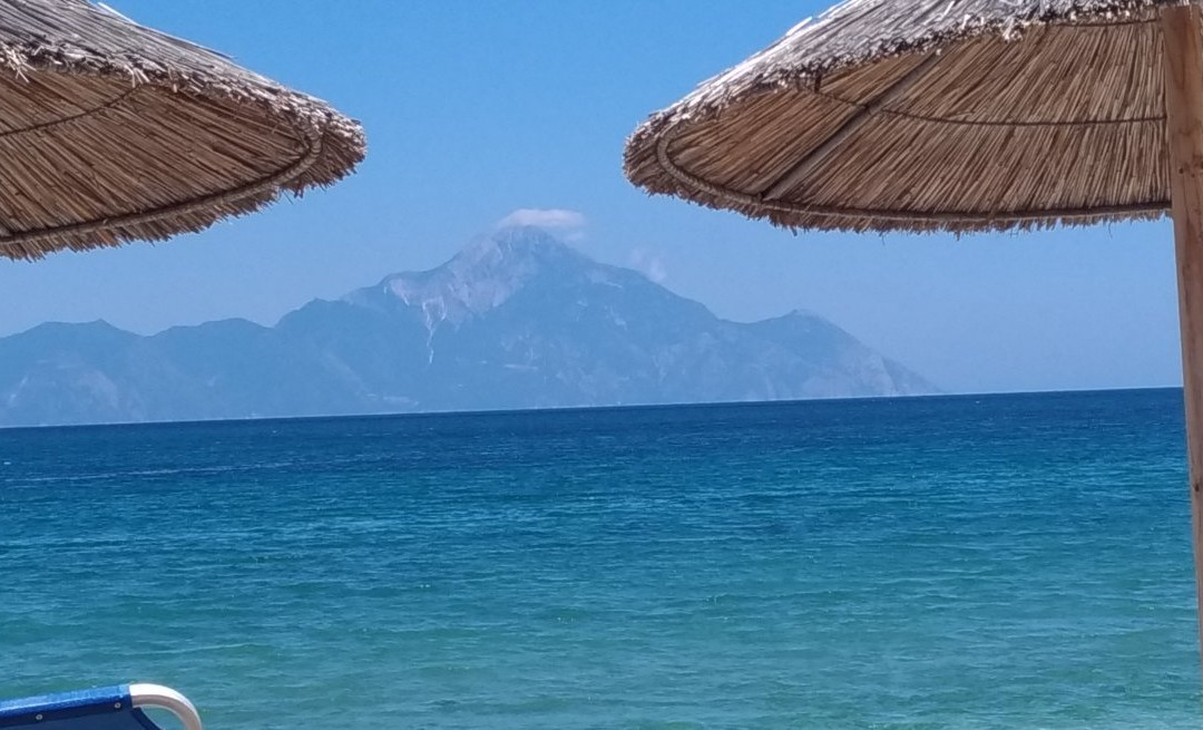 Platania House主图