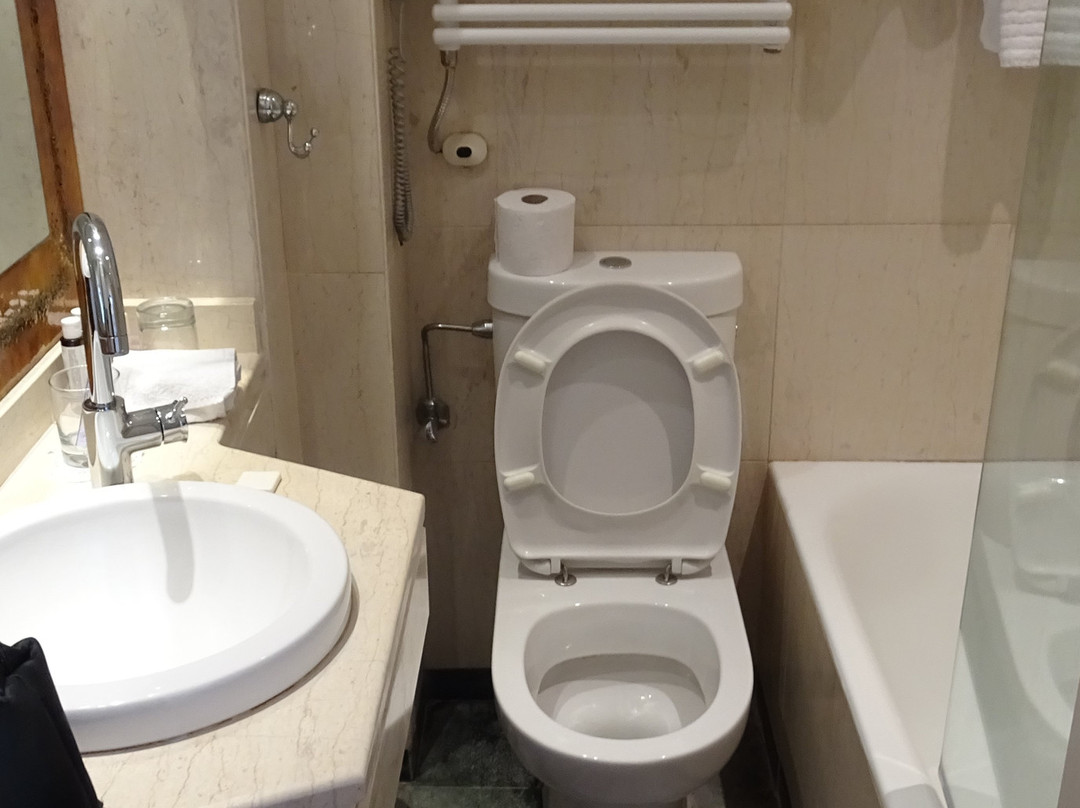 西奥拉维多利亚精品酒店主图