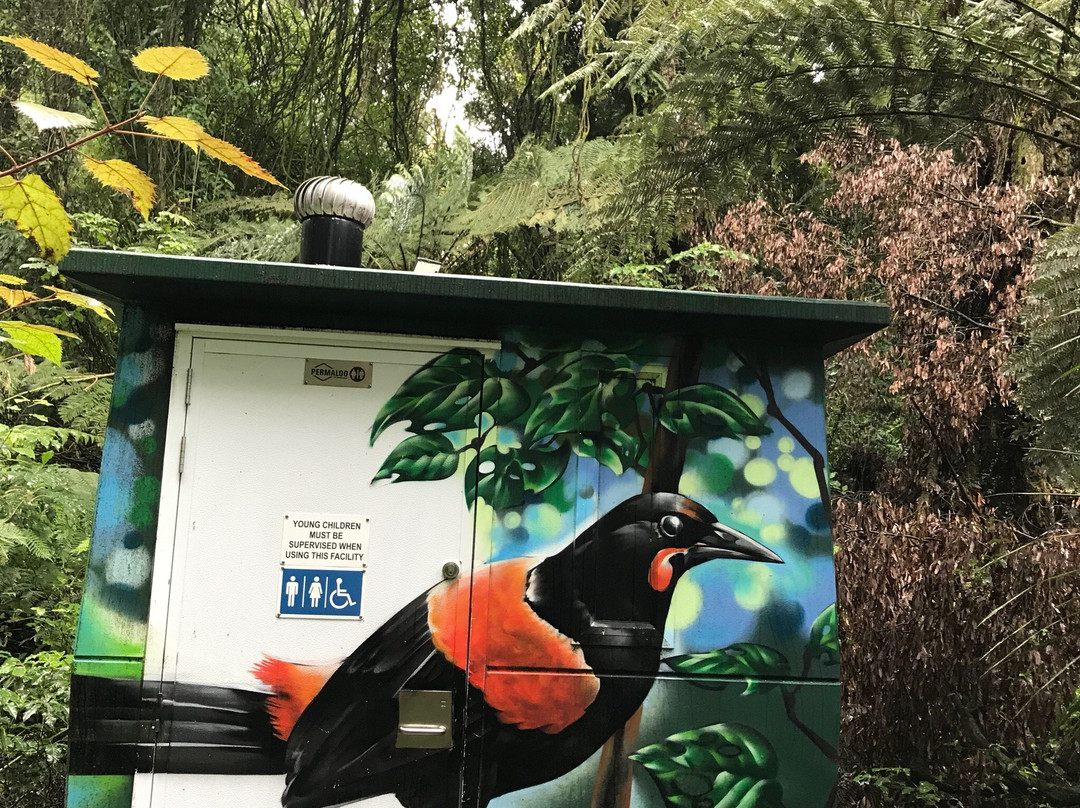 Maungakawa Scenic Reserve-剑桥必去景点