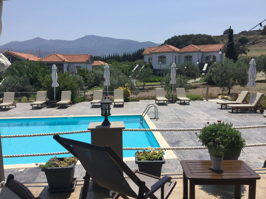 Vafios酒店住宿-Moongarden Boutique Resort