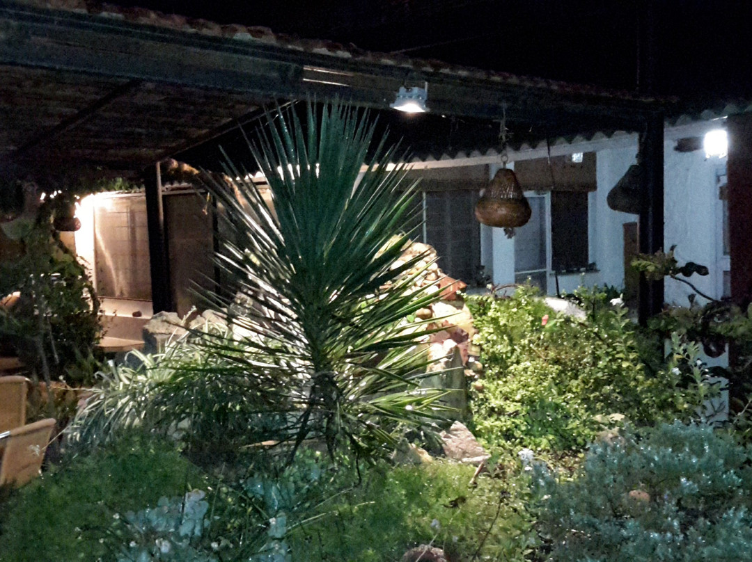 Gulmohar Homestay主图