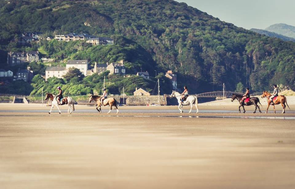 Pony Trekking at Bwlchgwyn Farm景点图片