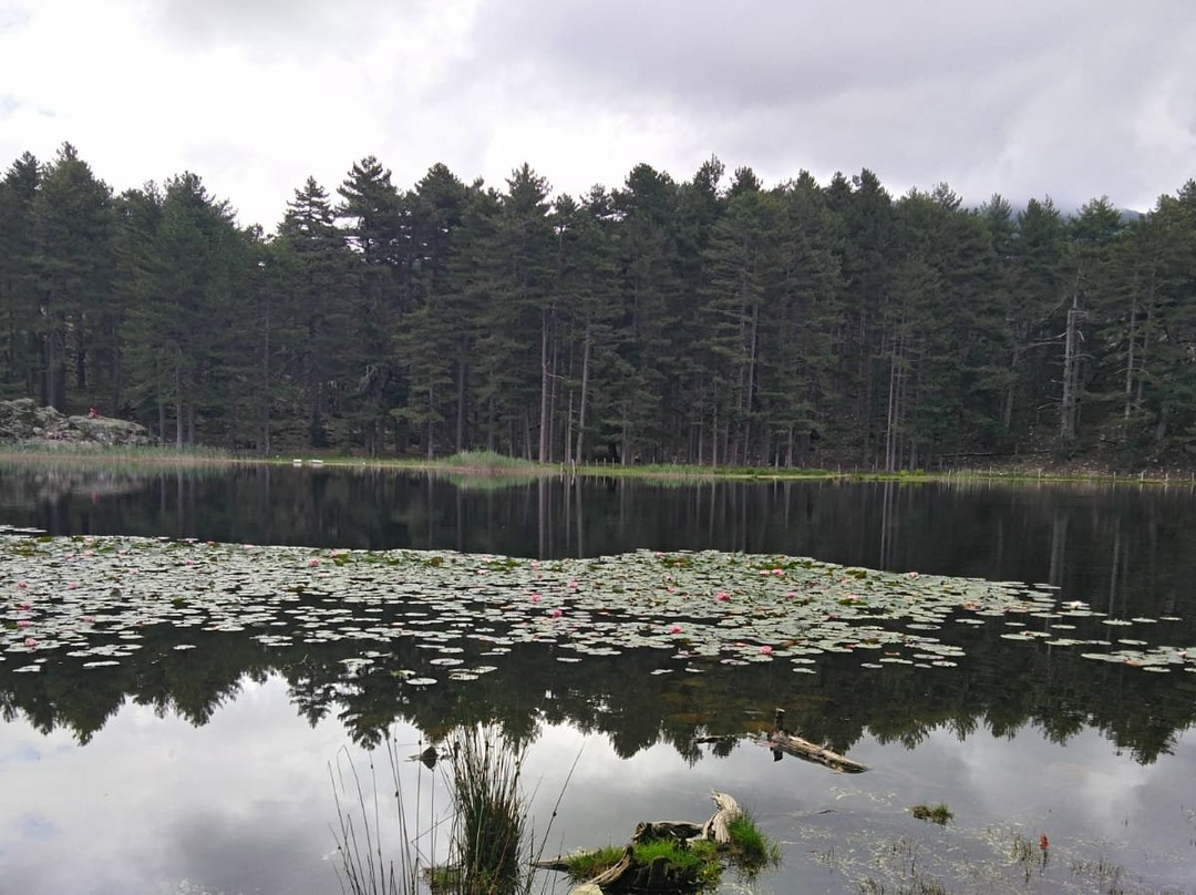 Lac de Creno景点图片