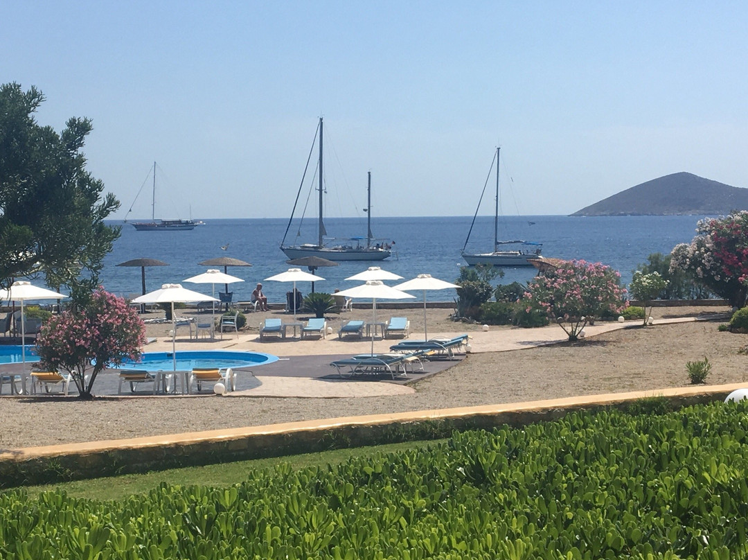 Tony's Beach Hotel主图