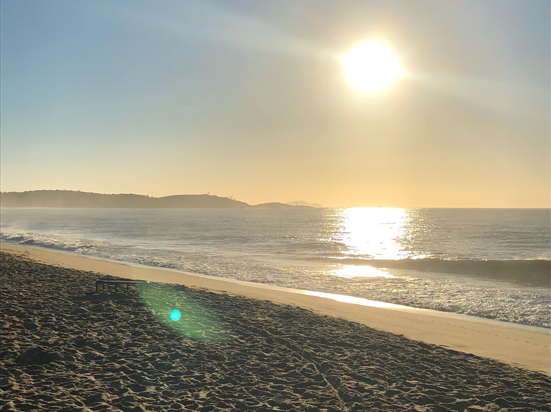 Enseada das Gaivotas Beach景点图片