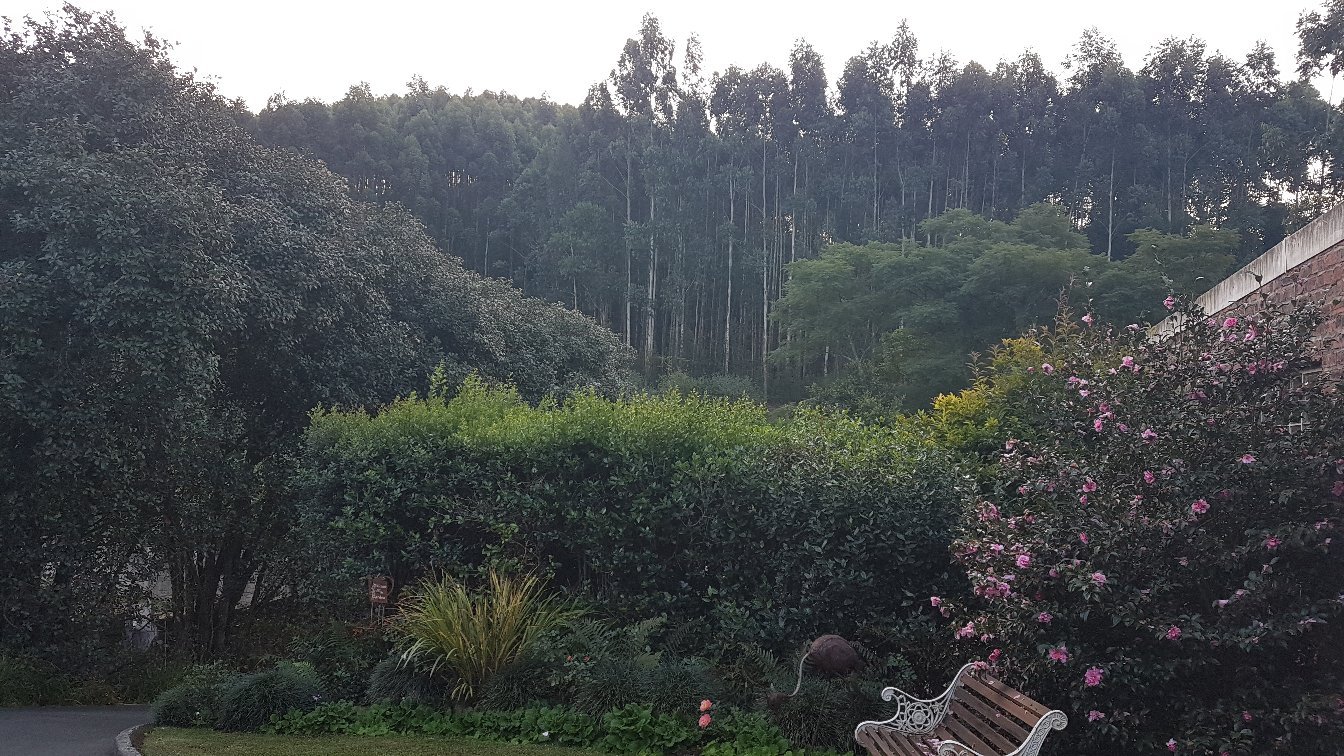 Babbling Brook Bed and Breakfast-官方