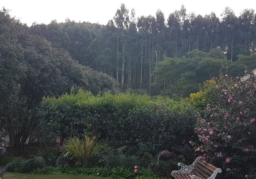 Babbling Brook Bed and Breakfast主图