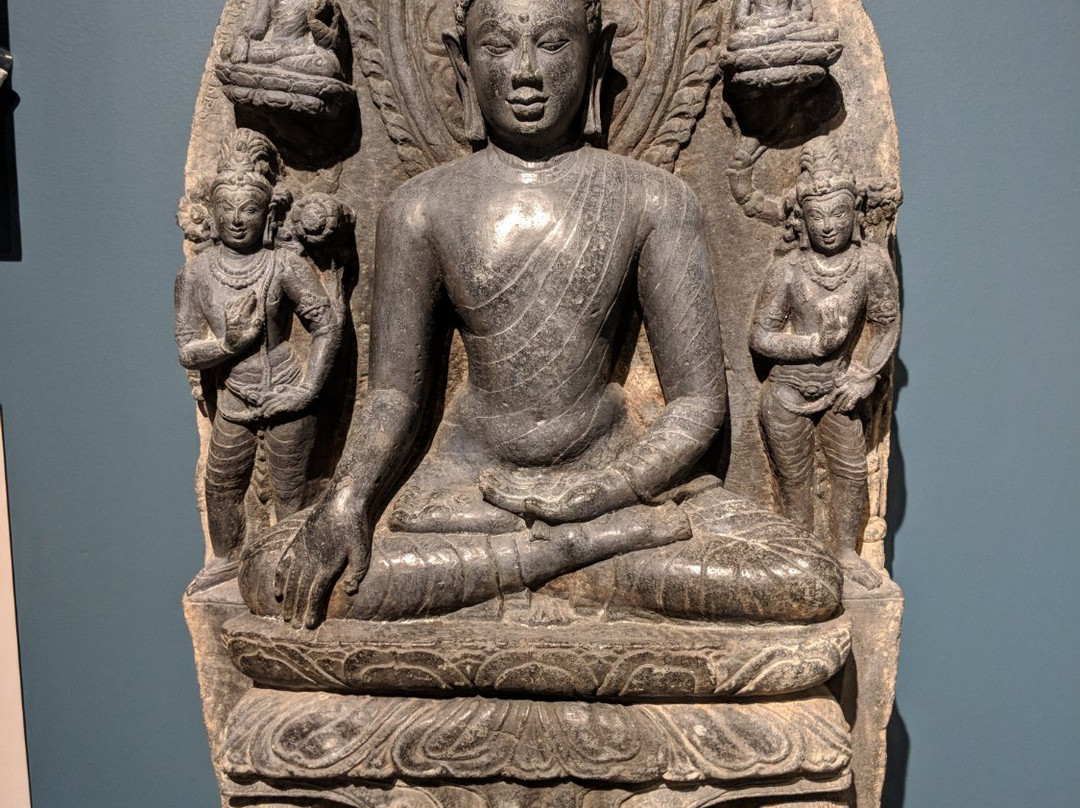 Museum of Art and Archaeology-哥伦比亚市必去景点