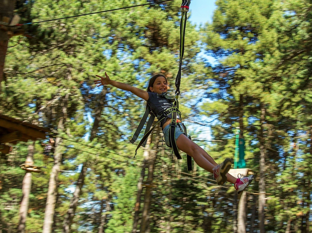 La Molina Parc Aventura景点图片