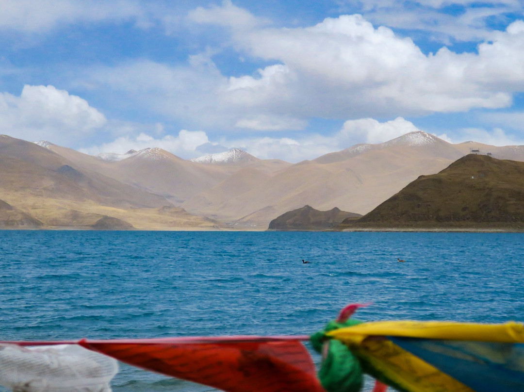 Tangola Travels景点图片