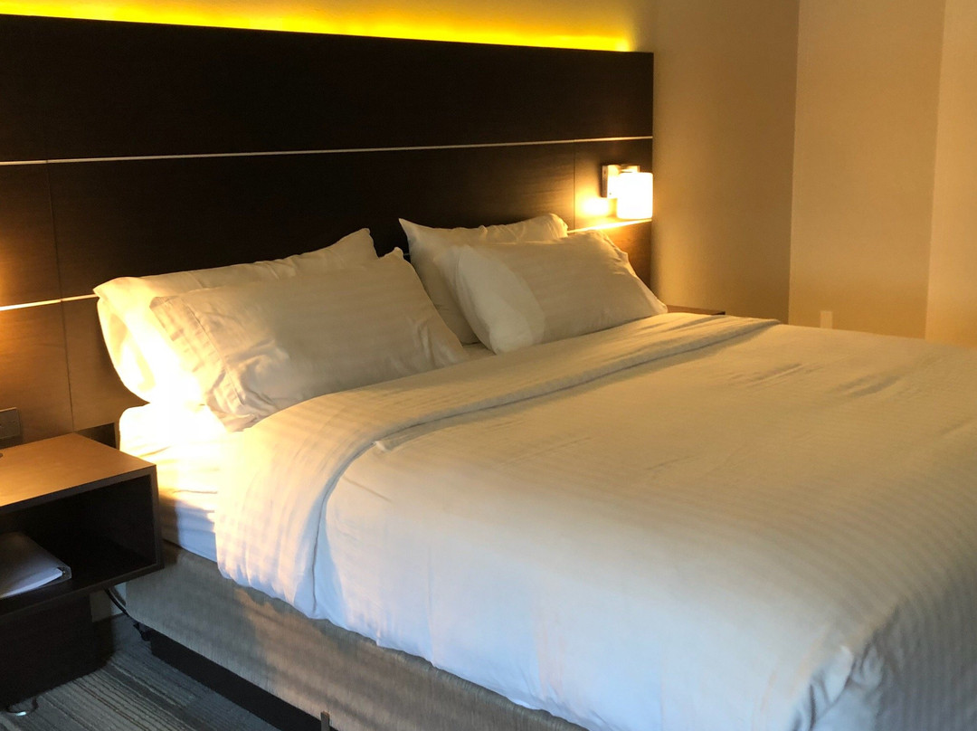 纽伯格希洛套房酒店主图